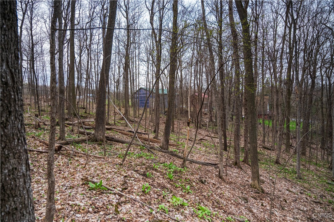 0 Brewer Road Oneida, NY 13421 - Photo 18 of 22