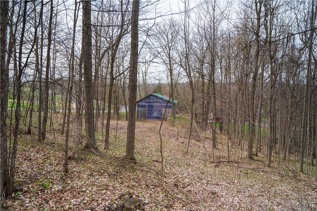 0 Brewer Road Oneida, NY 13421 - Photo 19 of 22