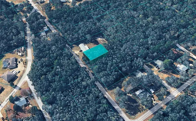 a aerial view of a house with a yard and tree s