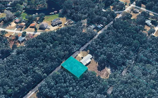 a view of a tree in a yard