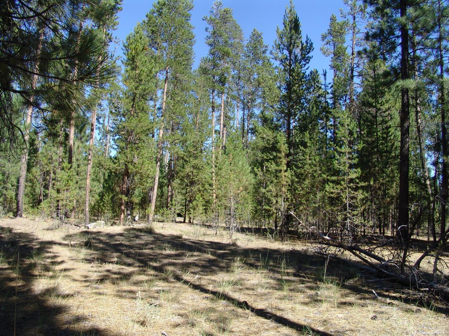 50834 Fawn Loop La Pine, OR 97739 - Photo 10 of 18 Additional Photo