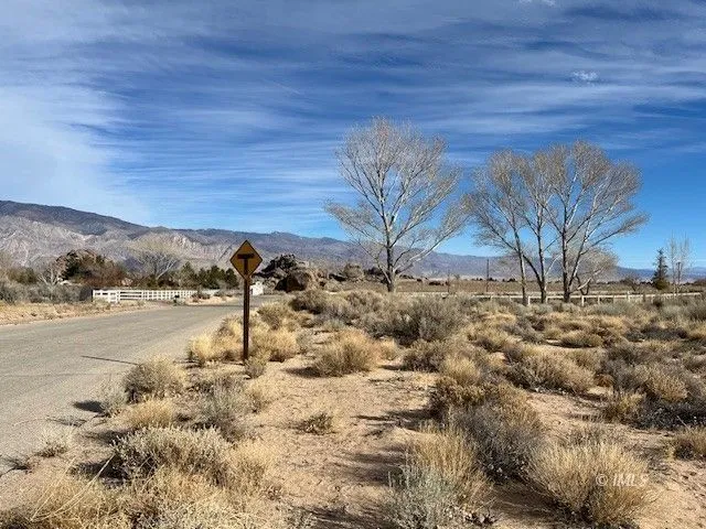 a view of a dry yard