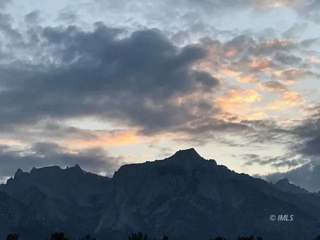 a view of houses and covered with lots of trees