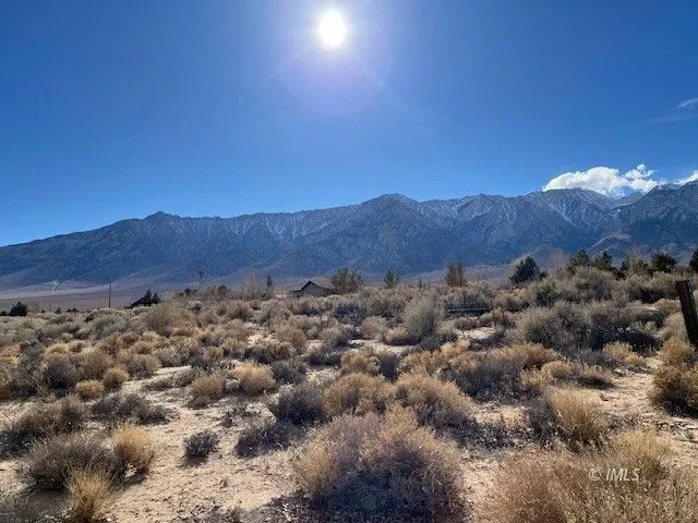 a view of a lush green field with mountains in the background
