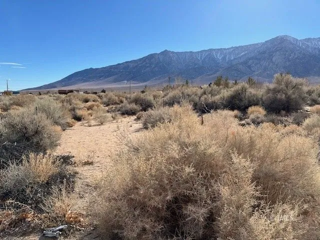 a view of a dry back yard with mountains in the background