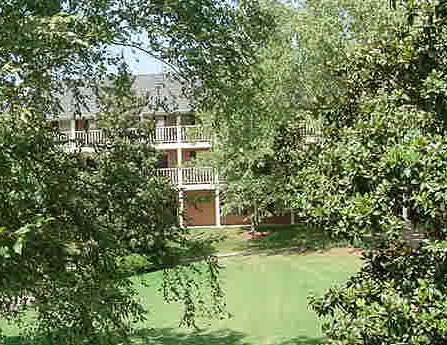 250 Elm Street, Unit 321 Clemson, SC 29631 - Photo 12 of 13 Manicured green spaces surround this structure with multiple levels of private balconies.