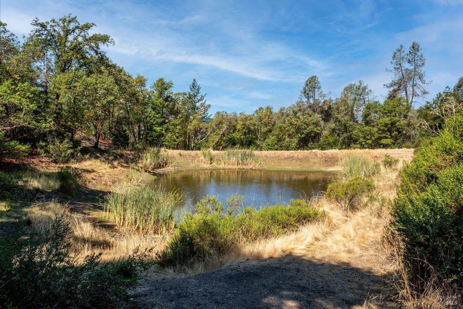 34010 Shimmins Ridge Road Willits, CA 95490 - Photo 26 of 56 1,5 million gallon pond.