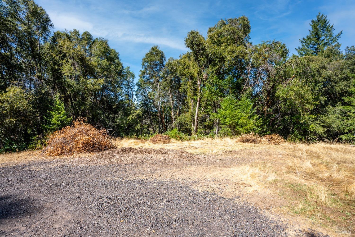 34010 Shimmins Ridge Road Willits, CA 95490 - Photo 38 of 56