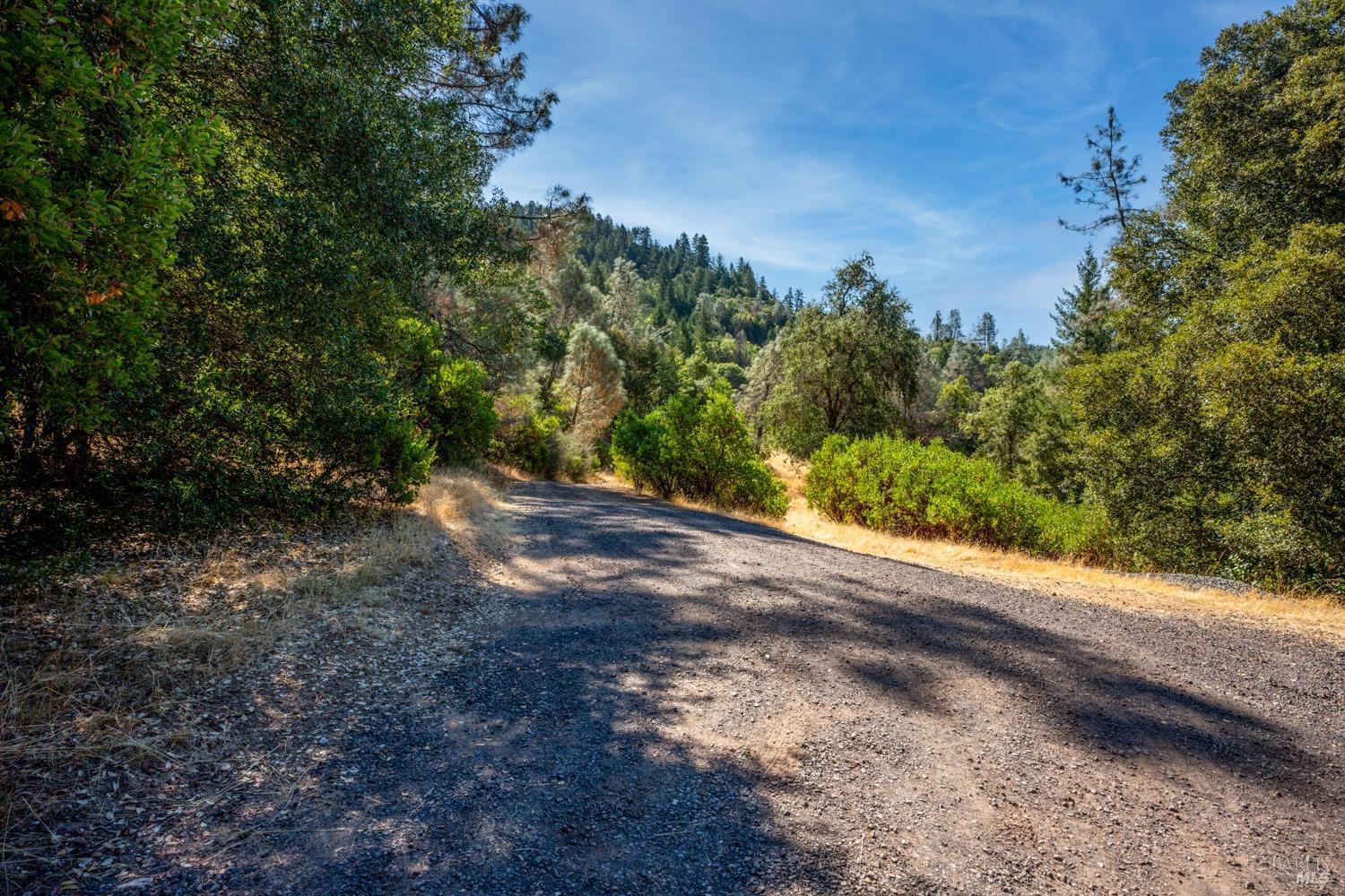 34010 Shimmins Ridge Road Willits, CA 95490 - Photo 44 of 56