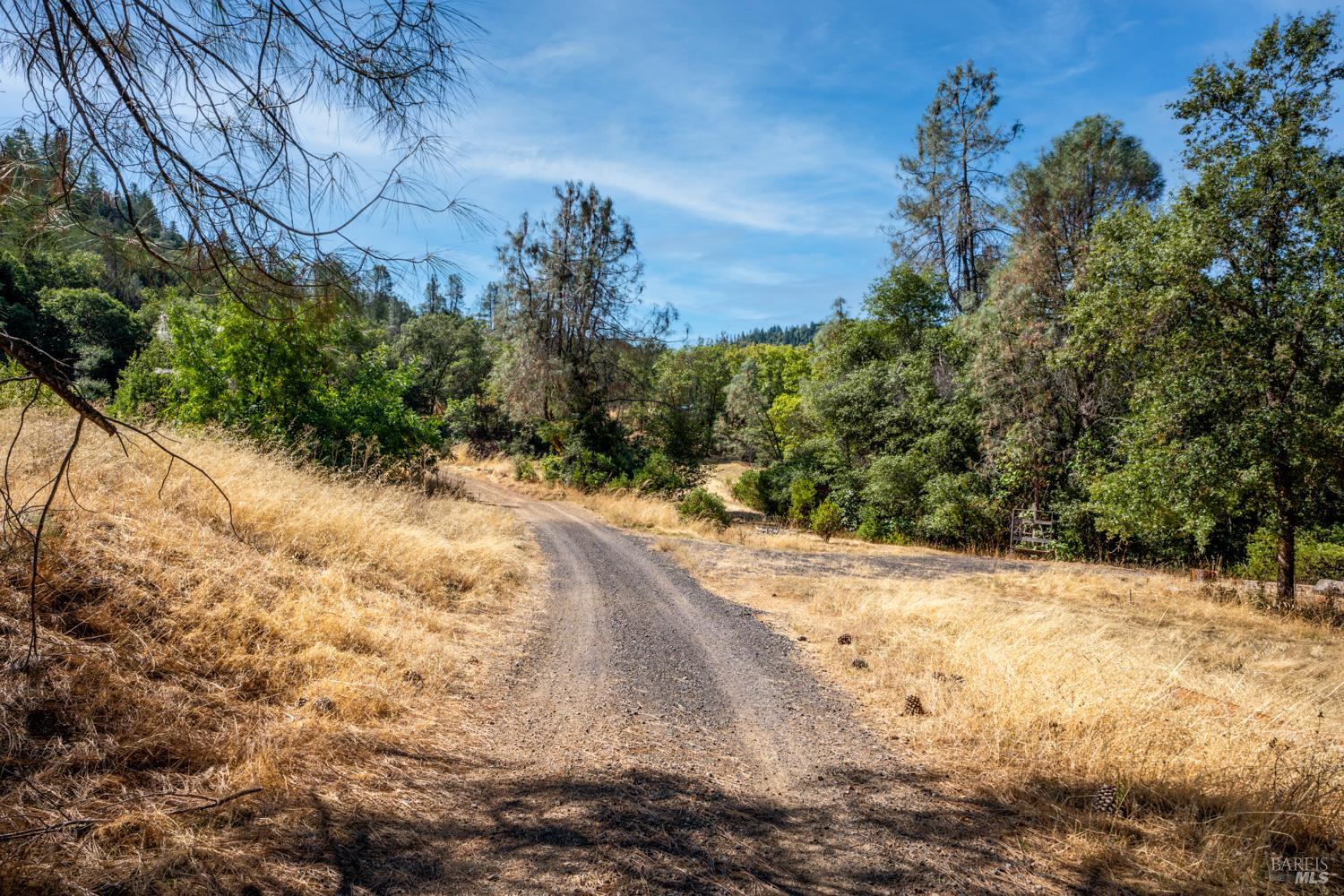 34010 Shimmins Ridge Road Willits, CA 95490 - Photo 47 of 56