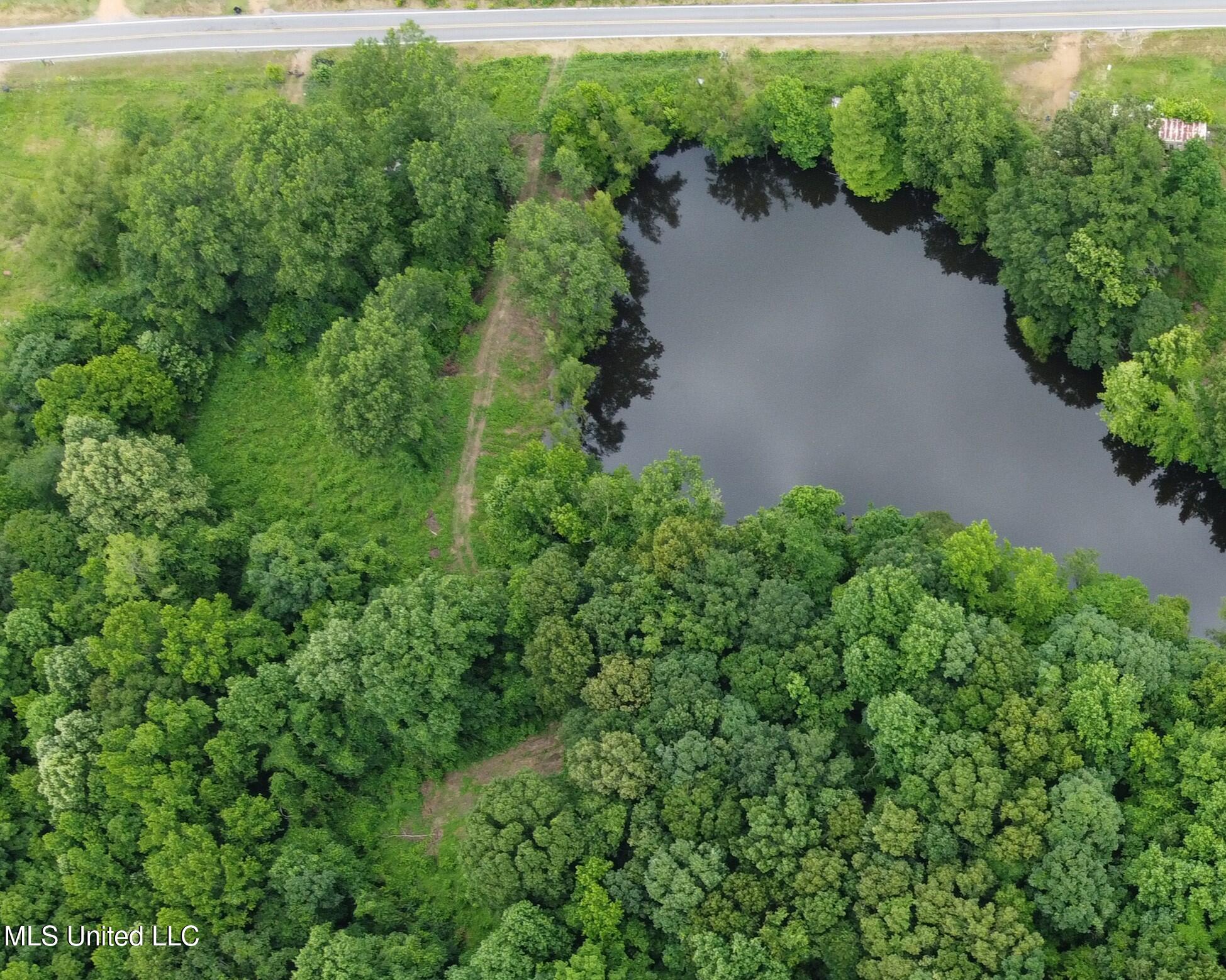 2065 Prichard Road Coldwater, MS 38618 - Photo 4 of 18 prichard home sites