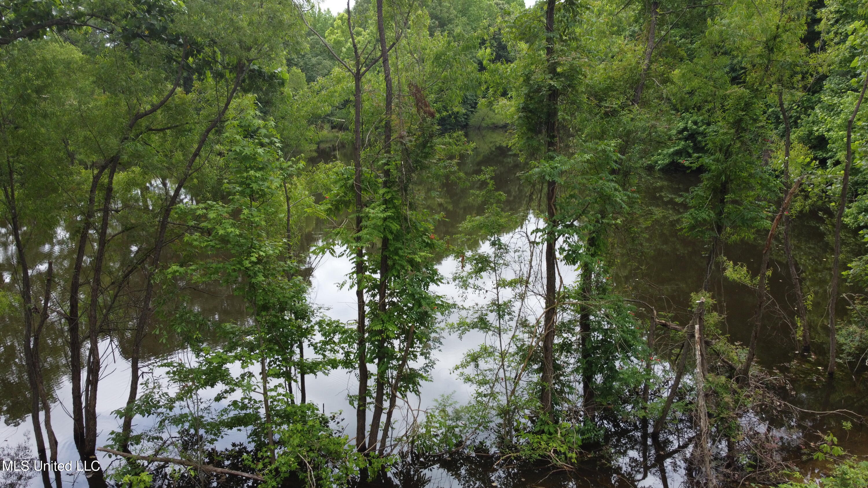 2065 Prichard Road Coldwater, MS 38618 - Photo 8 of 18 DJI_0970