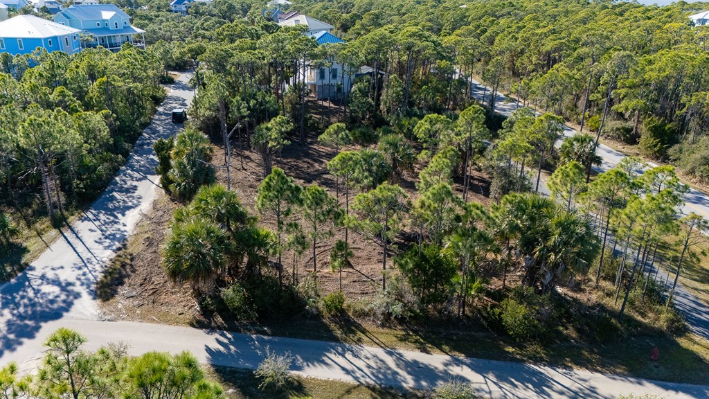 1944 Reed Court West St. George Island, FL 32328 - Photo 7 of 11