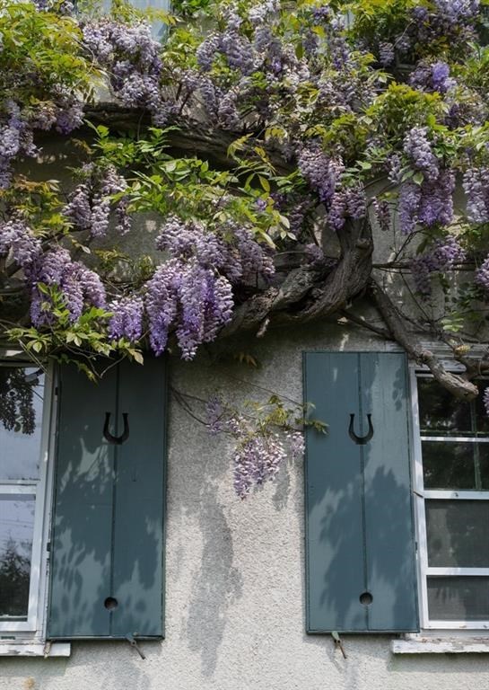 8 Ocean View Highway Westerly, RI 02891 - Photo 5 of 25