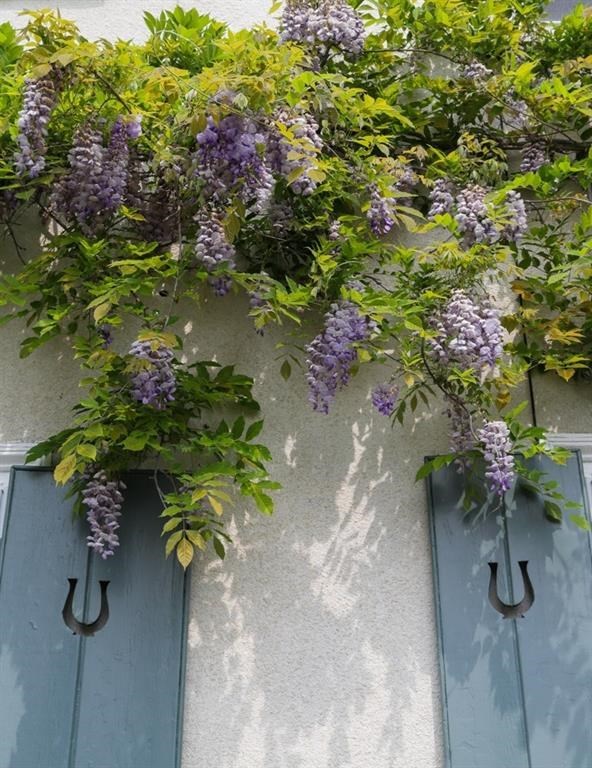 8 Ocean View Highway Westerly, RI 02891 - Photo 6 of 25