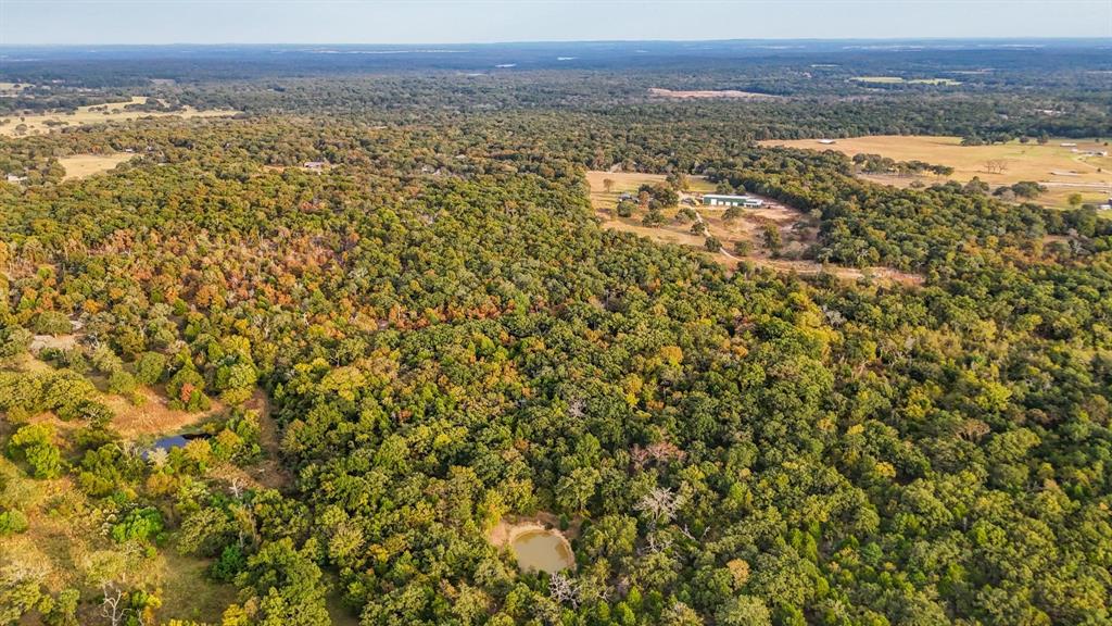 Tbd Tbd Fm-59 Athens, TX 75751 - Photo 10 of 10