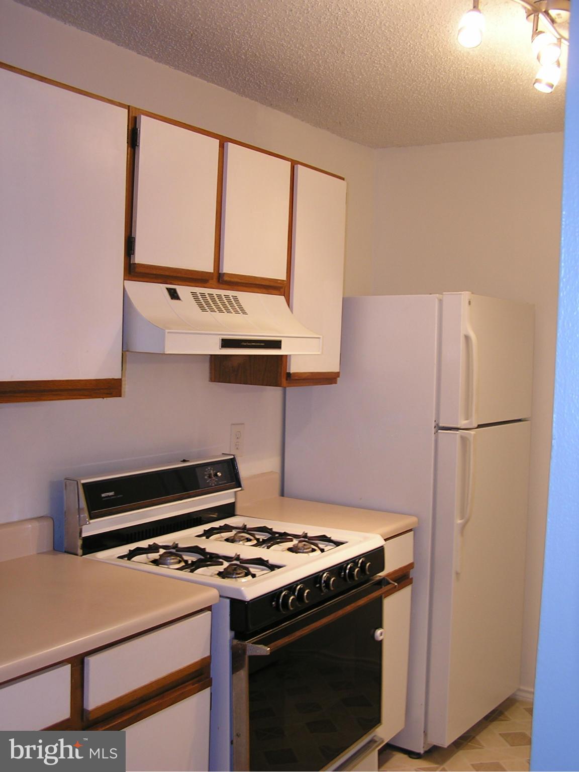 20991 Timber Ridge Terrace, Unit 203 Ashburn, VA 20147 - Photo 7 of 12 Kitchen