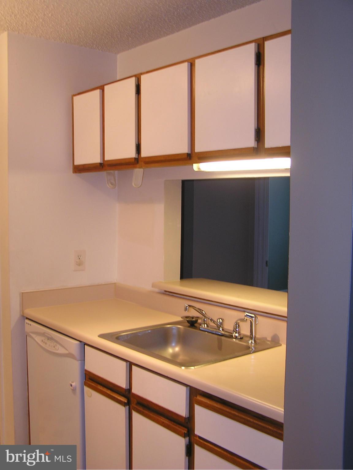 20991 Timber Ridge Terrace, Unit 203 Ashburn, VA 20147 - Photo 8 of 12 Kitchen