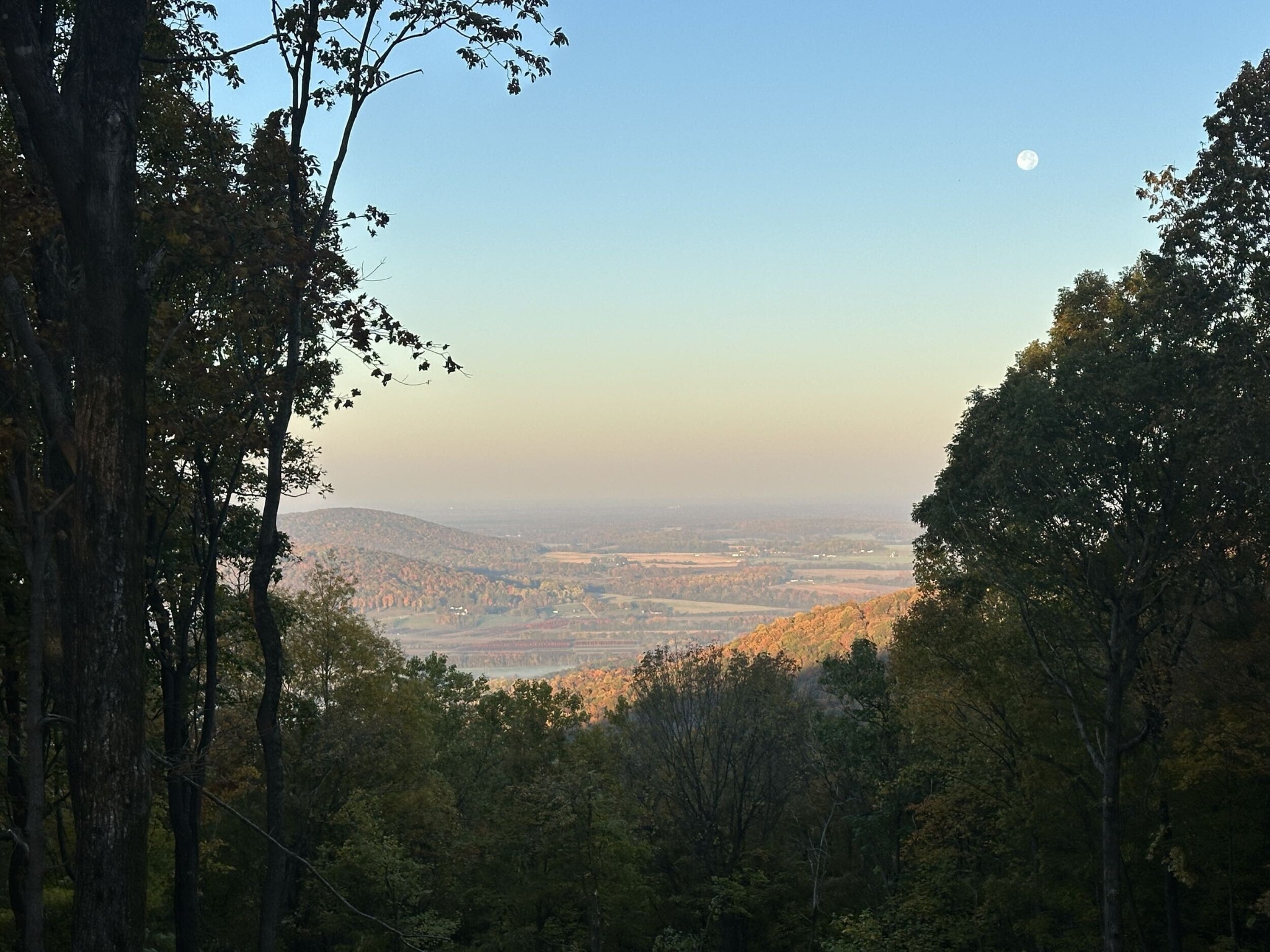 824 Valley View Drive Altamont, TN 37301 - Photo 2 of 7 a view of lake with green space