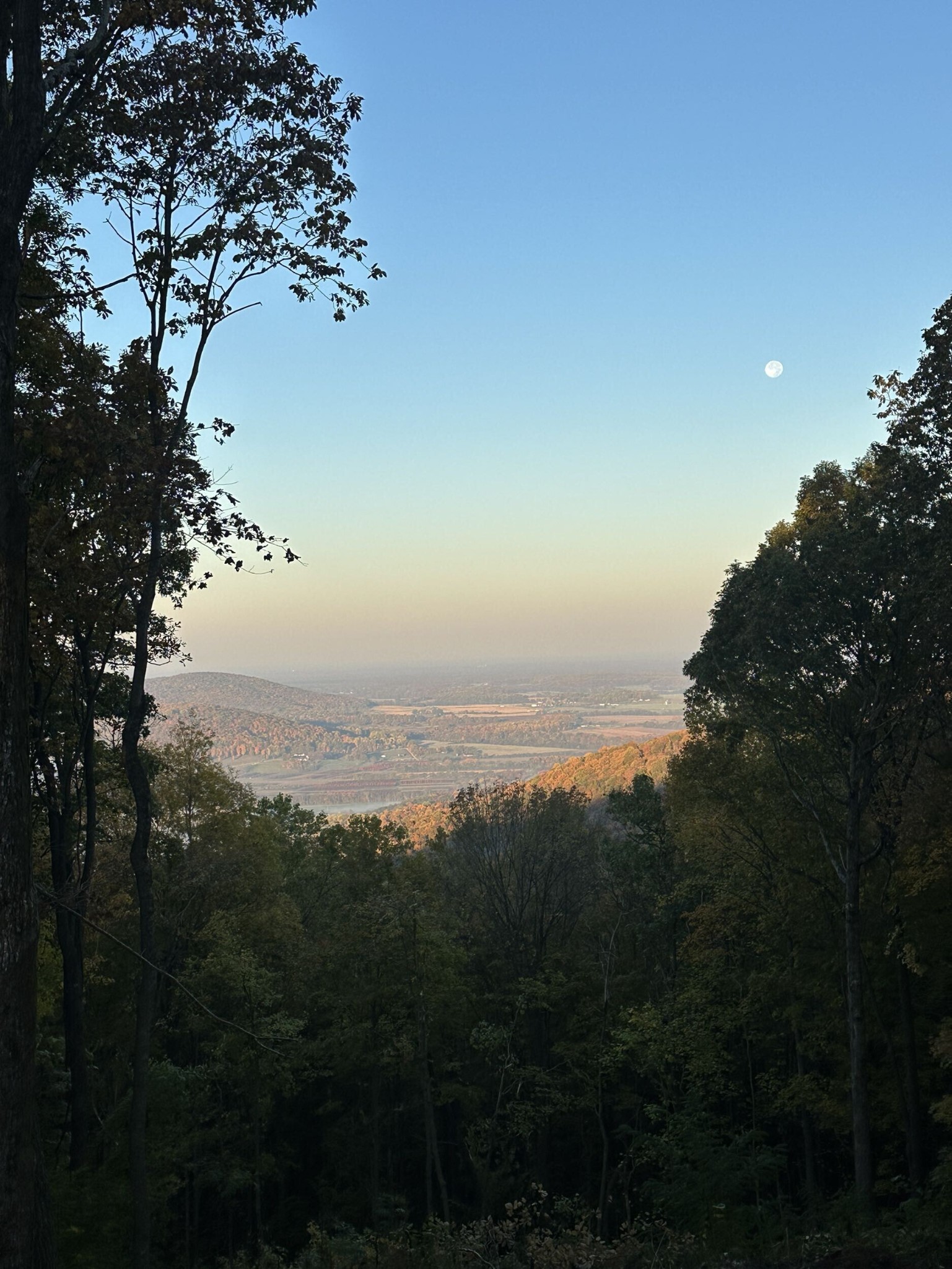 824 Valley View Drive Altamont, TN 37301 - Photo 3 of 7 a view of a city