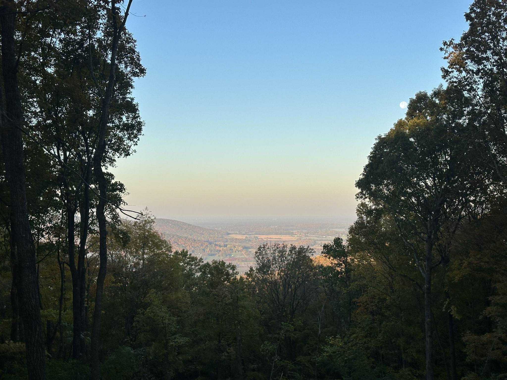 824 Valley View Drive Altamont, TN 37301 - Photo 5 of 7 a view of a city