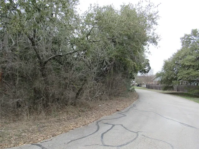 a view of a yard with a tree