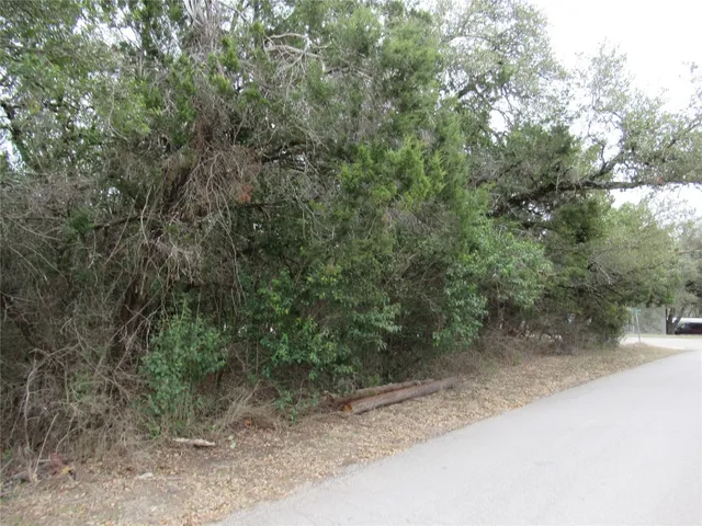 a view of a yard with a tree