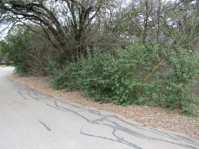 a view of a yard with a tree