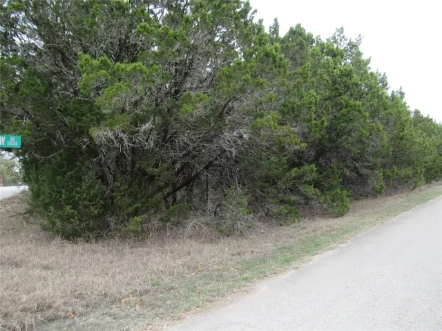 a view of a yard with a tree