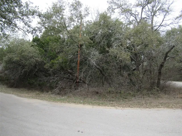 a view of a yard with a tree