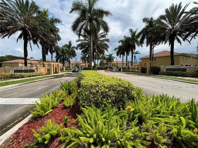 a row of palm trees and a swimming pool with a tree