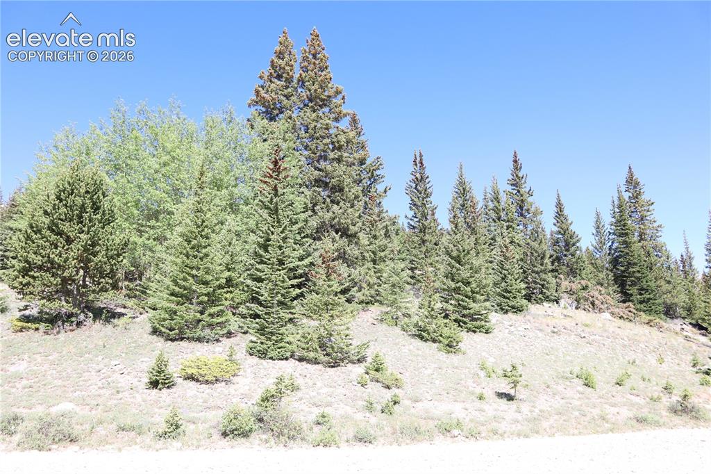 1480 Roberts Road Alma, CO 80420 - Photo 4 of 26