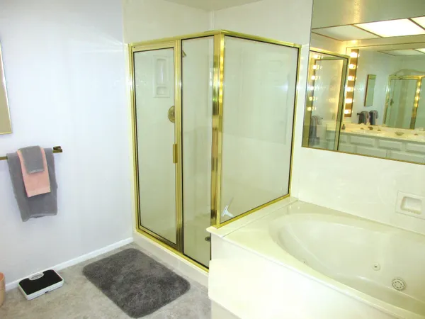 a bathroom with a shower and a bath tub