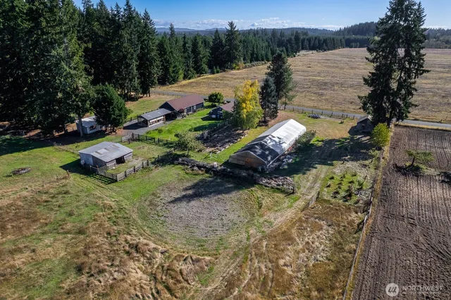 a view of swimming pool with red and white trees