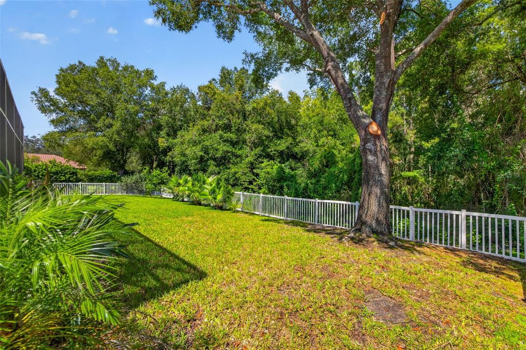 9136 Highland Ridge Way Tampa, FL 33647 - Photo 41 of 55 Gallery Image 41