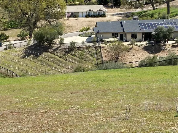 a view of a park with large trees