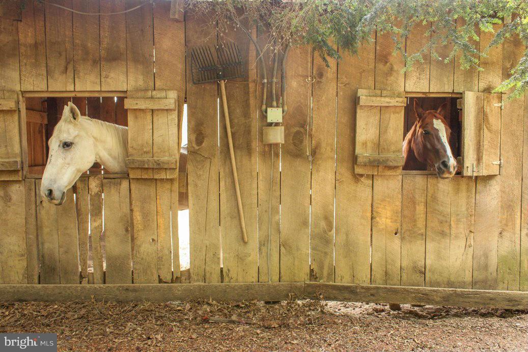 6401 Mackall Road St. Leonard, MD 20685 - Photo 13 of 30 a view of a door with a tree