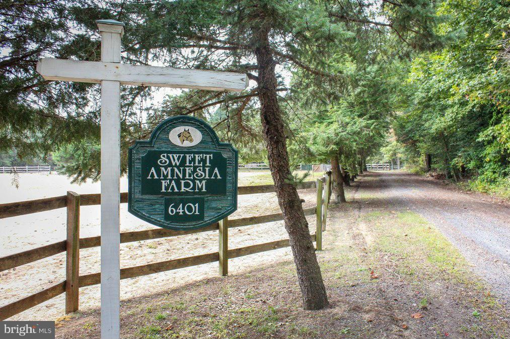 6401 Mackall Road St. Leonard, MD 20685 - Photo 5 of 30 a view of a street sign under a large tree