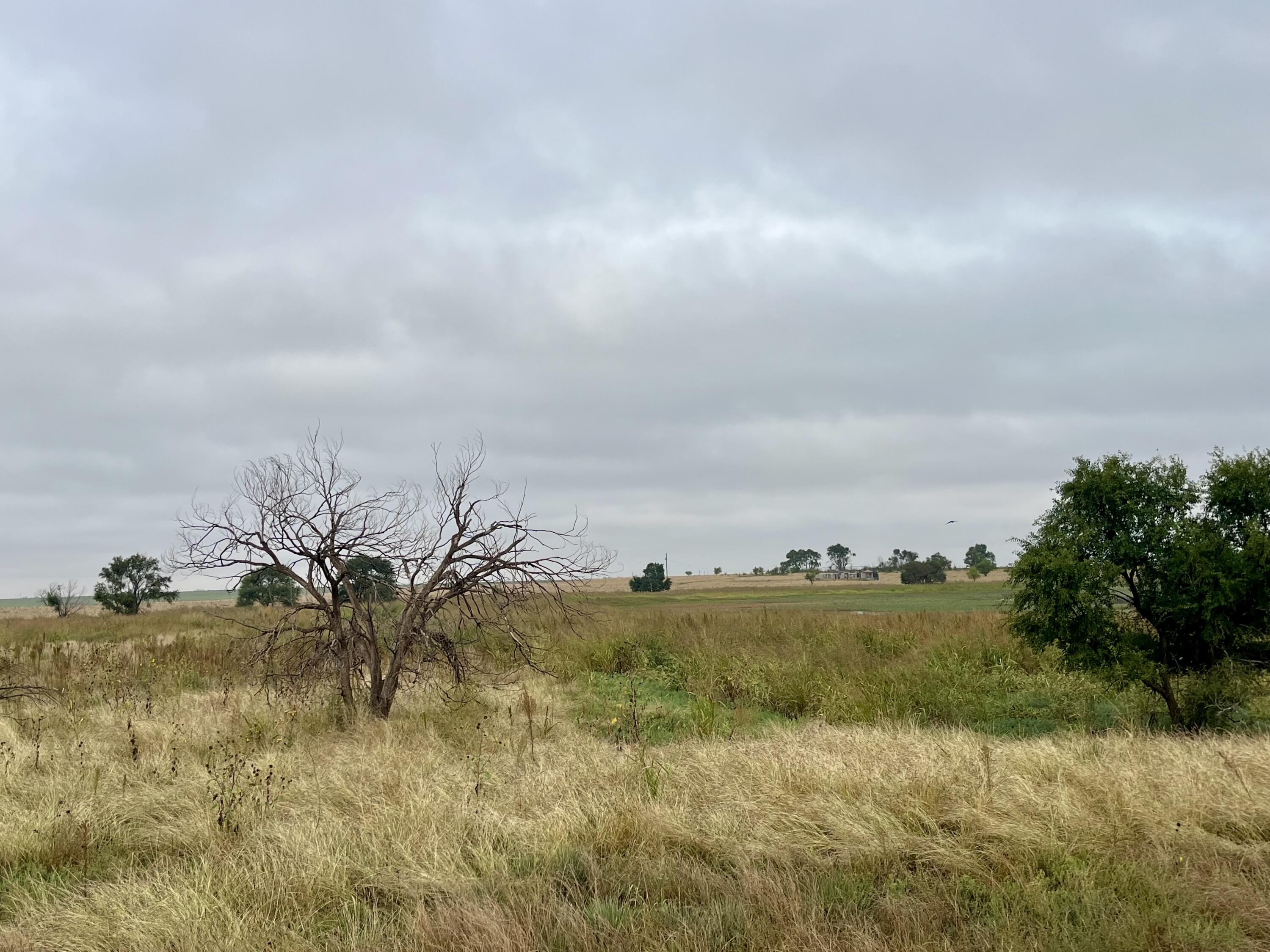 Hawaii Road Anton, TX 79313 - Photo 2 of 6 a view of a lake