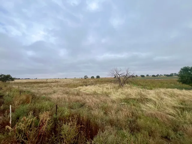 a view of a lake with houses in the back