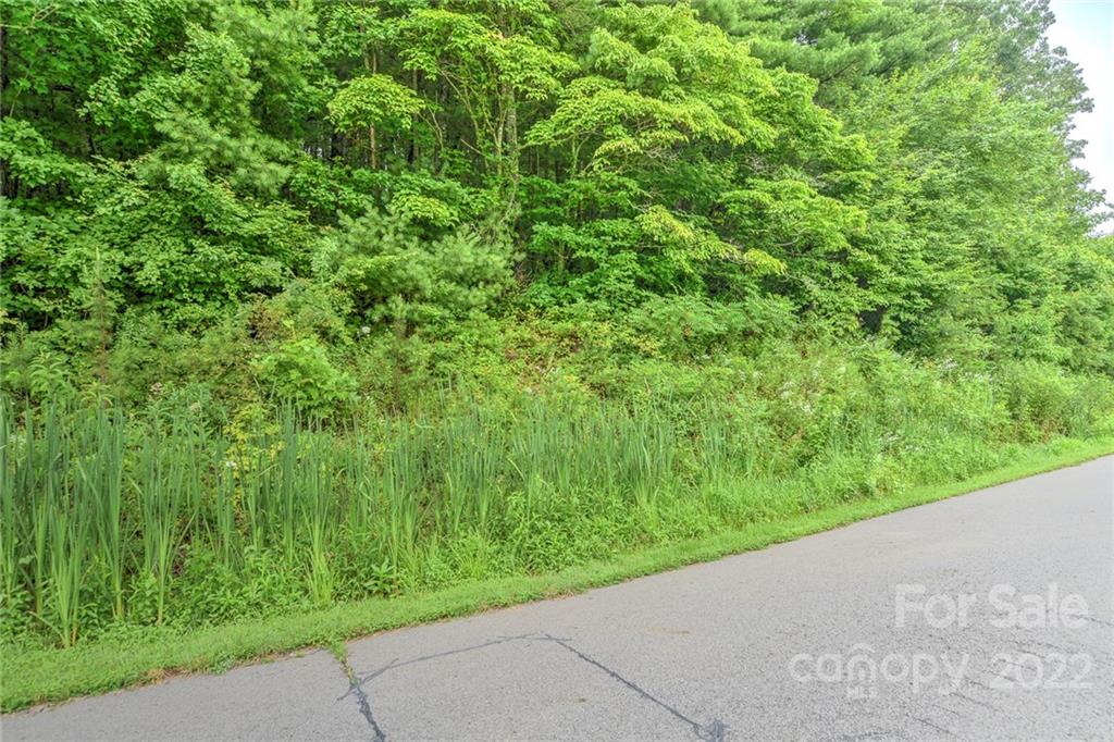 98 Israel Road, Unit 70 Leicester, NC 28748 - Photo 3 of 13 Gallery Image 3