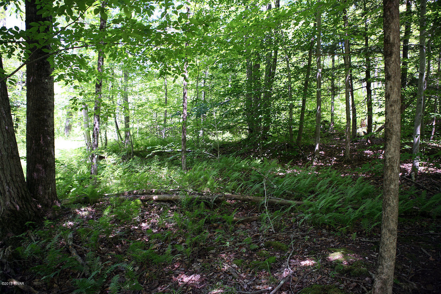 0 Fallsdale Road Milanville, PA 18443 - Photo 18 of 23