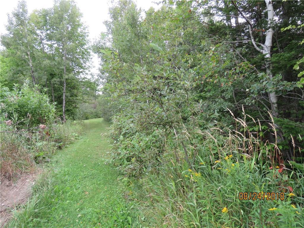 Lot 22 Woodland Center Road Perham, ME 04766 - Photo 7 of 15 Photo