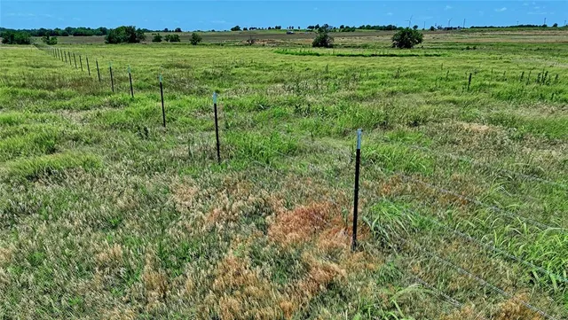 a view of a lush green field