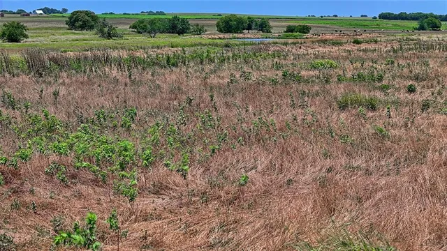 a view of a lake with a building in the back