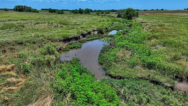 a view of a lush green outdoor space with a house in the background