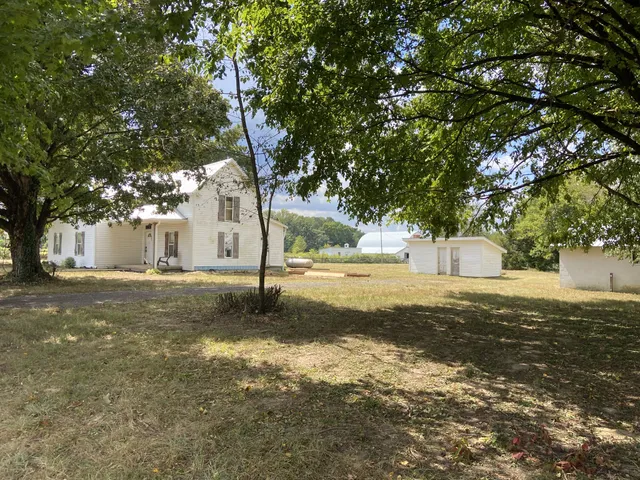 a view of a yard with large tree