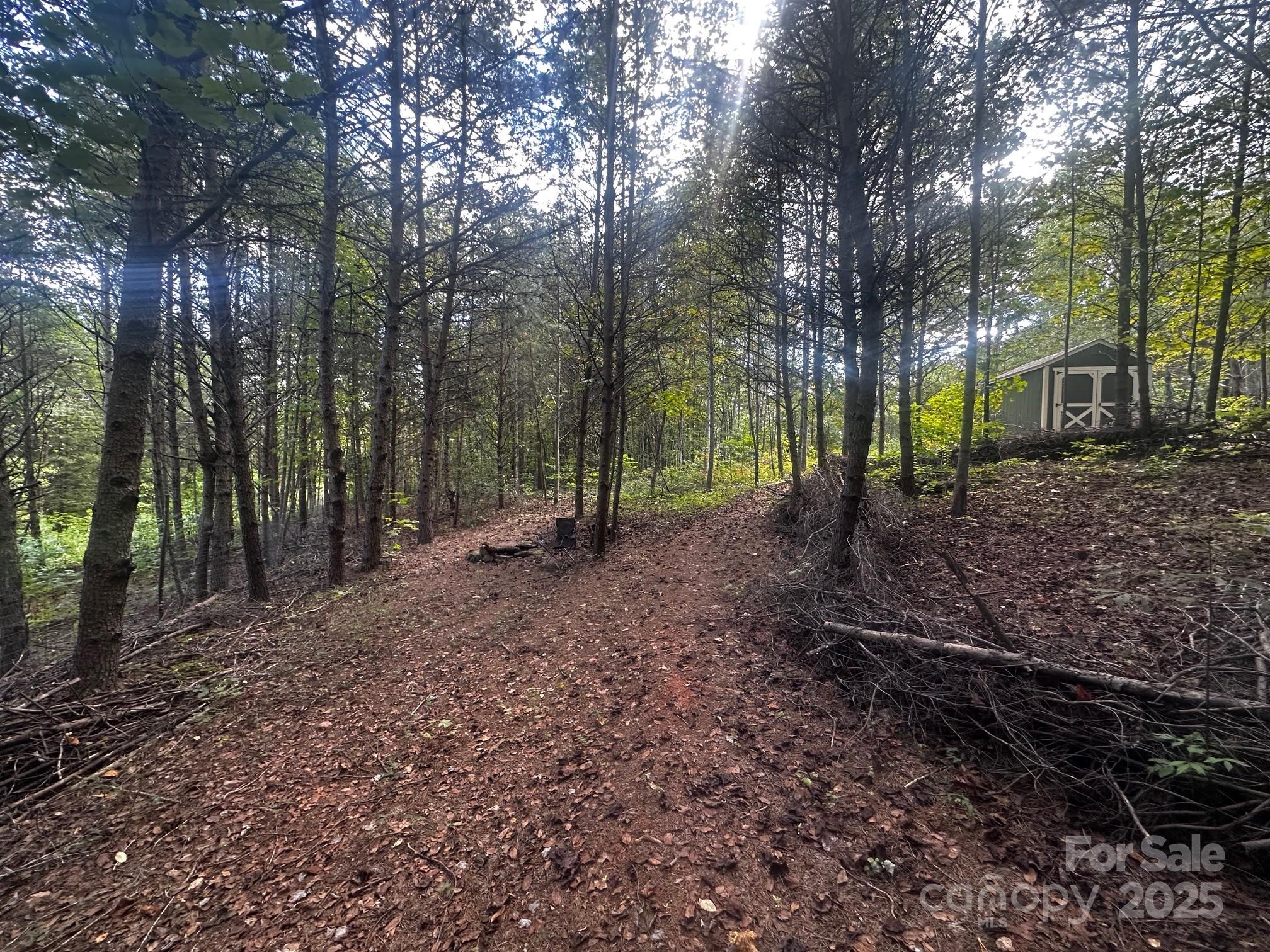 0 Freeman Town Road Lake Lure, NC 28746 - Photo 11 of 22