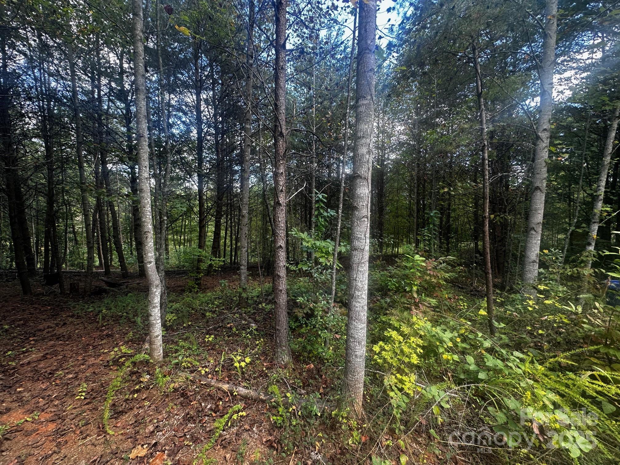 0 Freeman Town Road Lake Lure, NC 28746 - Photo 12 of 22