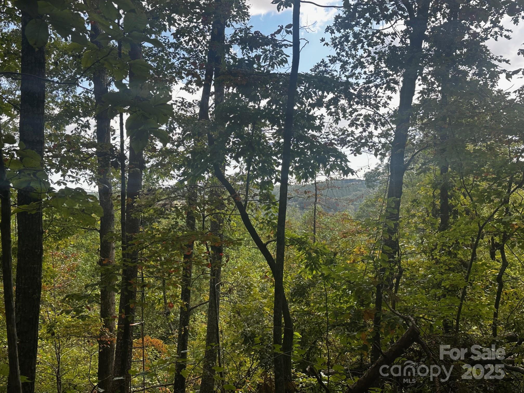 0 Freeman Town Road Lake Lure, NC 28746 - Photo 13 of 22
